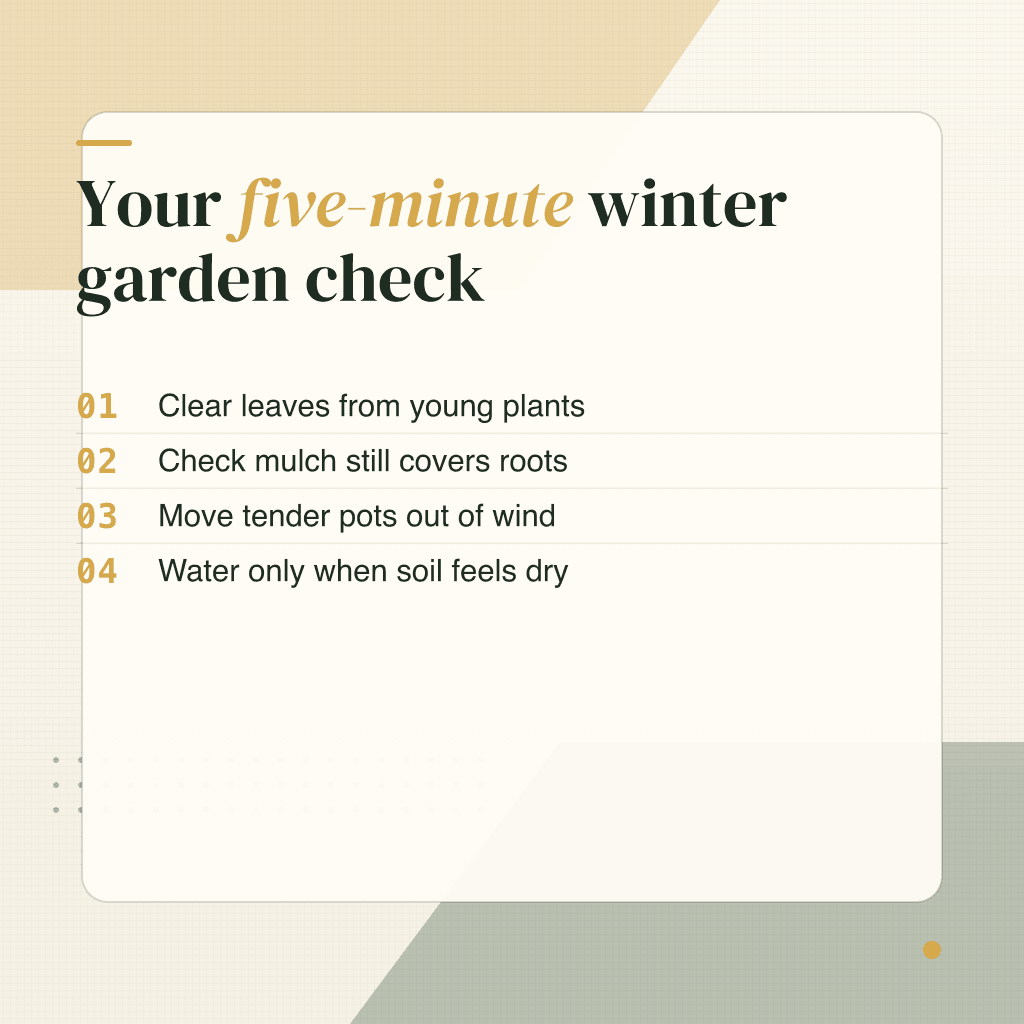 Winter garden checklist with three quick seasonal jobs